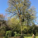 Le Petit Paradis - La Petite Maison * Labastide-Rouairoux