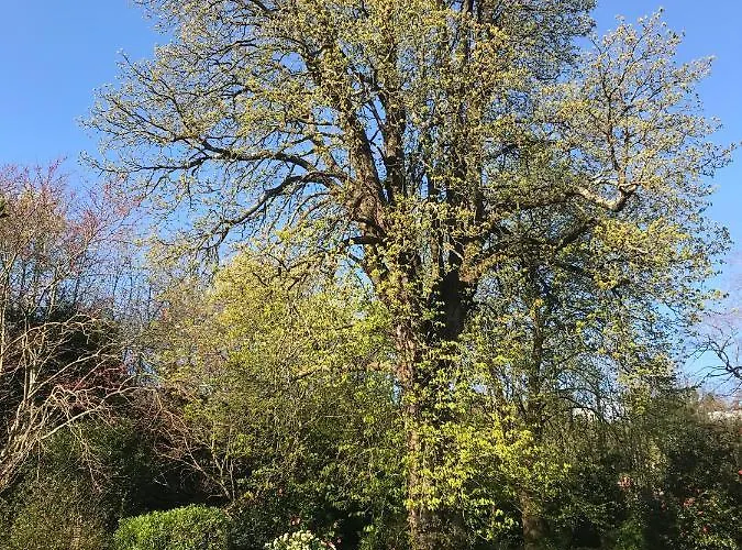 Le Petit Paradis - La Petite Maison * Labastide-Rouairoux